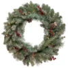 Pre-Lit Snowy Waterloo Pine Artificial Christmas Wreath - 24-Inch, Clear Lights