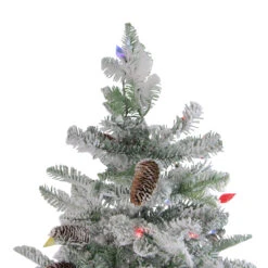 6.5' Pre-Lit Flocked Dunton Spruce Slim Artificial Christmas Tree - Multi Lights -Best Christmas Store northlight sp15001 3 39370.1667572646