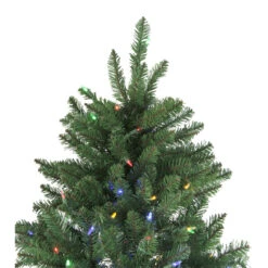 9' Pre-Lit Instant Connect Neola Fraser Fir Artificial Christmas Tree - Dual LED Lights -Best Christmas Store northlight sp15020 5updated 85714.1667659732