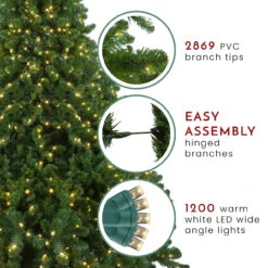 9' Pre-Lit Full Olympia Pine Artificial Christmas Tree - Warm White Lights -Best Christmas Store northlight th28354 thumbnail 220 74622.1667572691