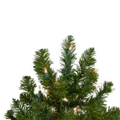 2' Pre-Lit Medium Canadian Pine Artificial Christmas Tree - Clear Lights -Best Christmas Store northlight v15846 2updated 49675.1667534208