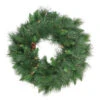 Pre-Lit White Valley Pine Artificial Christmas Wreath - 24-Inch, Clear Lights
