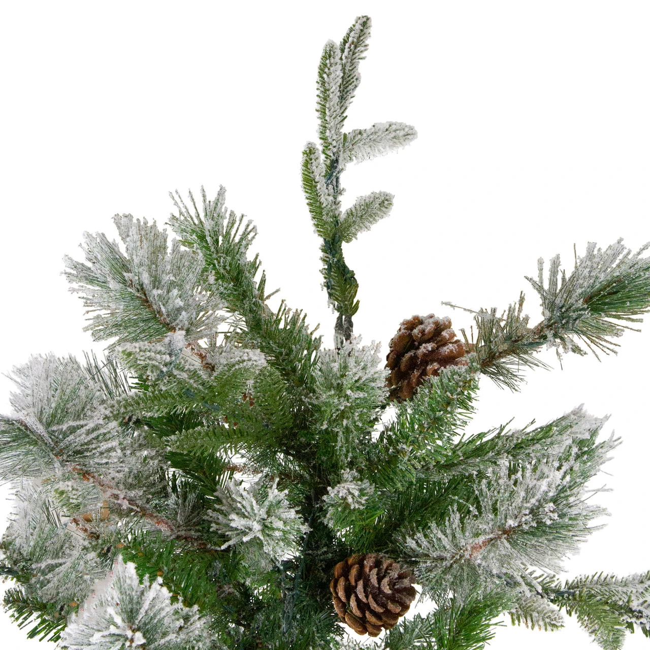 6.5' Flocked Rosemary Emerald Angel Pine Artificial Christmas Tree, Unlit 4 6.5' Flocked Rosemary Emerald Angel Pine Artificial Christmas Tree, Unlit - Image 4