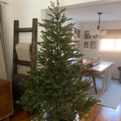 6.5' North Pine Artificial Christmas Tree, Unlit 12 6.5' North Pine Artificial Christmas Tree, Unlit -Best Christmas Store northlight v27365 cxpic v2 76873.1683224782