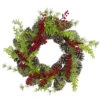 Frosted Pine Cones And Berries Artificial Christmas Wreath - 18-Inch, Unlit