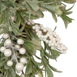 Artificial Christmas Wreath With Frosted Foliage And Berries, 20-Inch, Unlit -Best Christmas Store northlight yk93231 3 08022.1667530199