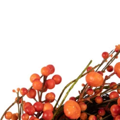 Red And Orange Berries With Mini Pumpkins Fall Harvest Wreath, 20-Inch, Unlit -Best Christmas Store northlight yk93251 3 77979.1667554468