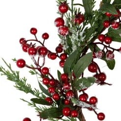 Frosted Red Berries With Leaves And Pine Artificial Christmas Wreath, 18-inch, Unlit 8 Frosted Red Berries With Leaves And Pine Artificial Christmas Wreath, 18-inch, Unlit -Best Christmas Store northlight yk93252 4 70634.1678118187