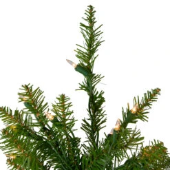 4' Pre-Lit Full Northern Pine Artificial Christmas Tree, Clear Lights -Best Christmas Store northlight z84470 2 90282.1685643411