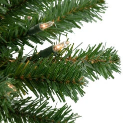 28" Pre-Lit Dorchester Pine Artificial Christmas Swag, Clear Lights -Best Christmas Store northlight z92821 3 61929.1684869973