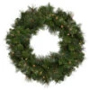 Mixed Beaver Pine Artificial Christmas Wreath, 24-Inch, Clear Lights