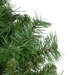 Chatham Pine Artificial Christmas Wreath, 24-Inch, Unlit 6 Chatham Pine Artificial Christmas Wreath, 24-Inch, Unlit -Best Christmas Store northlight z94031 3 new2022 82133.1667530983