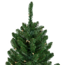 15' Pre-Lit Genoa Fraser Fir Slim Artificial Christmas Tree, Clear Lights -Best Christmas Store northlight z94044 2 99582.1667530992
