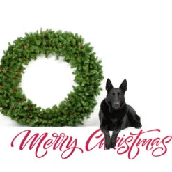 Dakota Red Pine Commercial Artificial Christmas Wreath - 5-Foot, Unlit 6 Dakota Red Pine Commercial Artificial Christmas Wreath - 5-Foot, Unlit -Best Christmas Store northlight z99437 cxpic 2 63698.1677542201