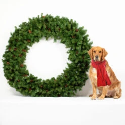 Dakota Red Pine Commercial Artificial Christmas Wreath - 5-Foot, Unlit 7 Dakota Red Pine Commercial Artificial Christmas Wreath - 5-Foot, Unlit -Best Christmas Store northlight z99437 cxpic 64722.1677542202