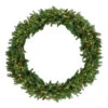 Pre-Lit Dakota Red Pine Commercial Artificial Christmas Wreath - 60-Inch, Warm White LED Lights
