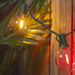 10ct Multi Color LED G50 Globe Patio Lights, 10ft Green Wire 5 10ct Multi Color LED G50 Globe Patio Lights, 10ft Green Wire -Best Christmas Store northlightys90314 57507.1667569992
