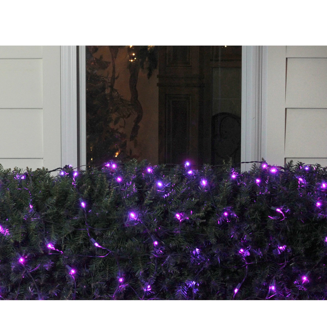 4' X 6' Purple LED Wide Angle Net Style Christmas Lights - Green Wire 2 4' X 6' Purple LED Wide Angle Net Style Christmas Lights - Green Wire - Image 2