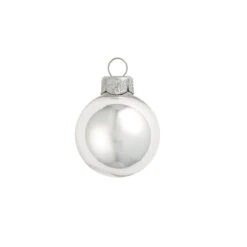 4ct Shiny Silver Glass Ball Christmas Ornaments 4.75" (120mm)