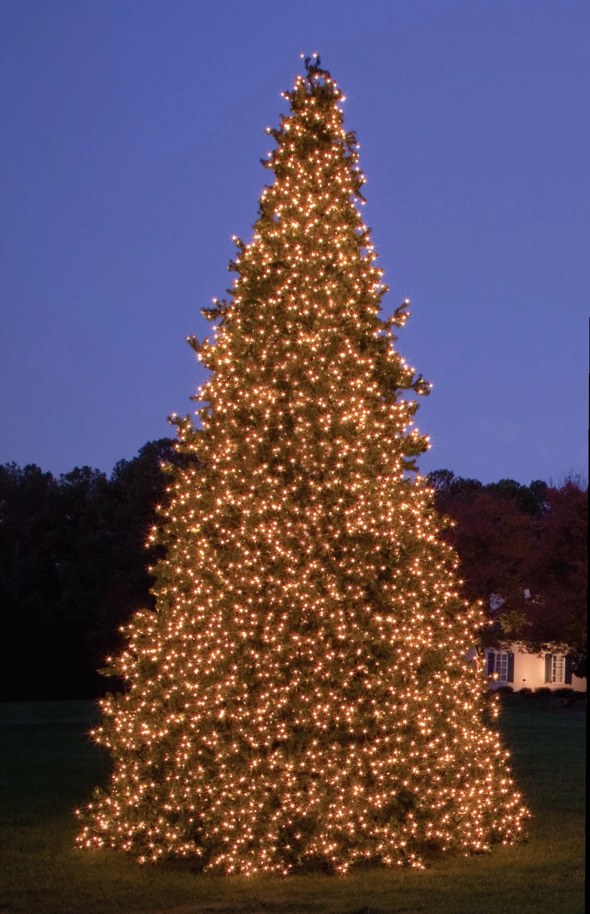 26’ Pre-Lit Giant Olympia Pine CommercialArtificial Tower Christmas Tree - Warm White LED Lights 2 26’ Pre-Lit Giant Olympia Pine CommercialArtificial Tower Christmas Tree - Warm White LED Lights - Image 2