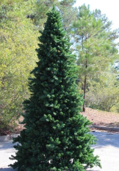 26’ Pre-Lit Giant Olympia Pine CommercialArtificial Tower Christmas Tree - Warm White LED Lights 5 26’ Pre-Lit Giant Olympia Pine CommercialArtificial Tower Christmas Tree - Warm White LED Lights -Best Christmas Store olympiaframetree3 10717.1680153258