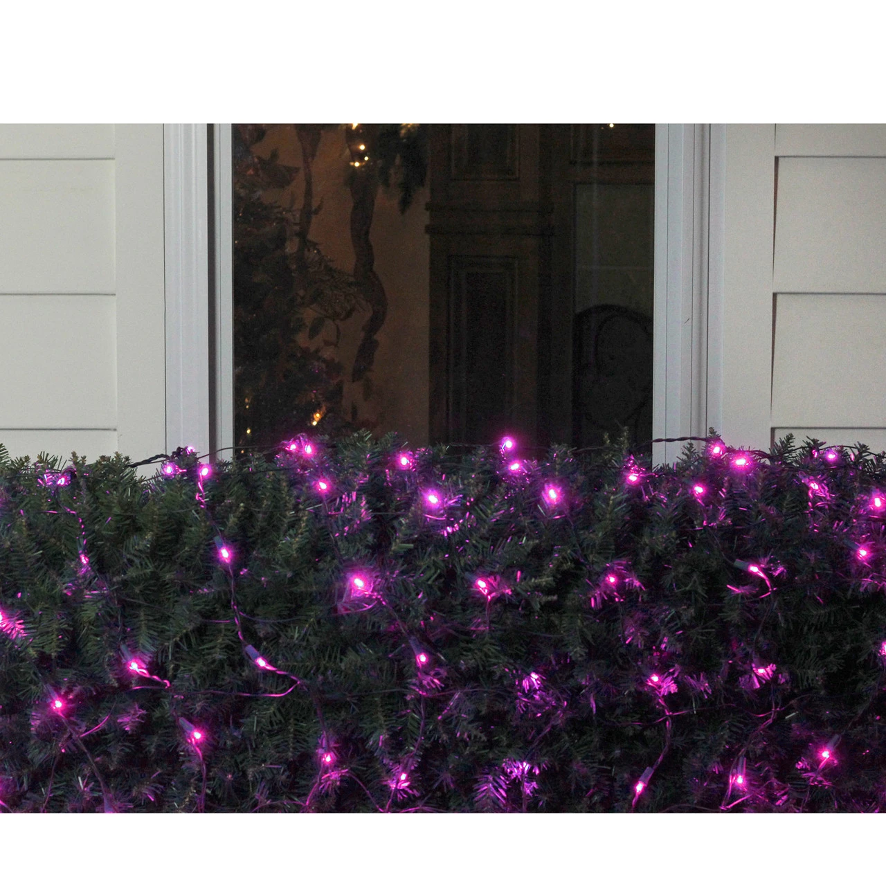 4' X 6' Raspberry Pink LED Wide Angle Net Style Christmas Lights - Green Wire 2 4' X 6' Raspberry Pink LED Wide Angle Net Style Christmas Lights - Green Wire - Image 2