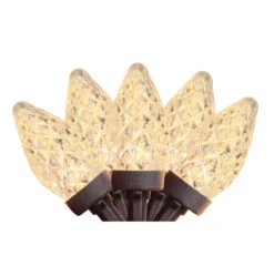 100 Warm White LED Faceted C7 Christmas Lights - 66 Ft Brown Wire