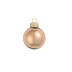 12ct Brown Glass Shiny Christmas Ball Ornaments 2.75" (65mm)